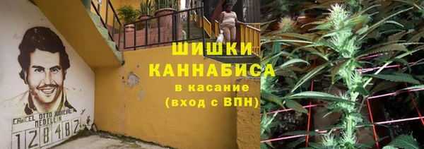 spice Алзамай