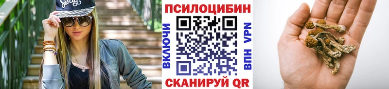 Галлюциногенные грибы MAGIC MUSHROOMS  закладки  Болхов 